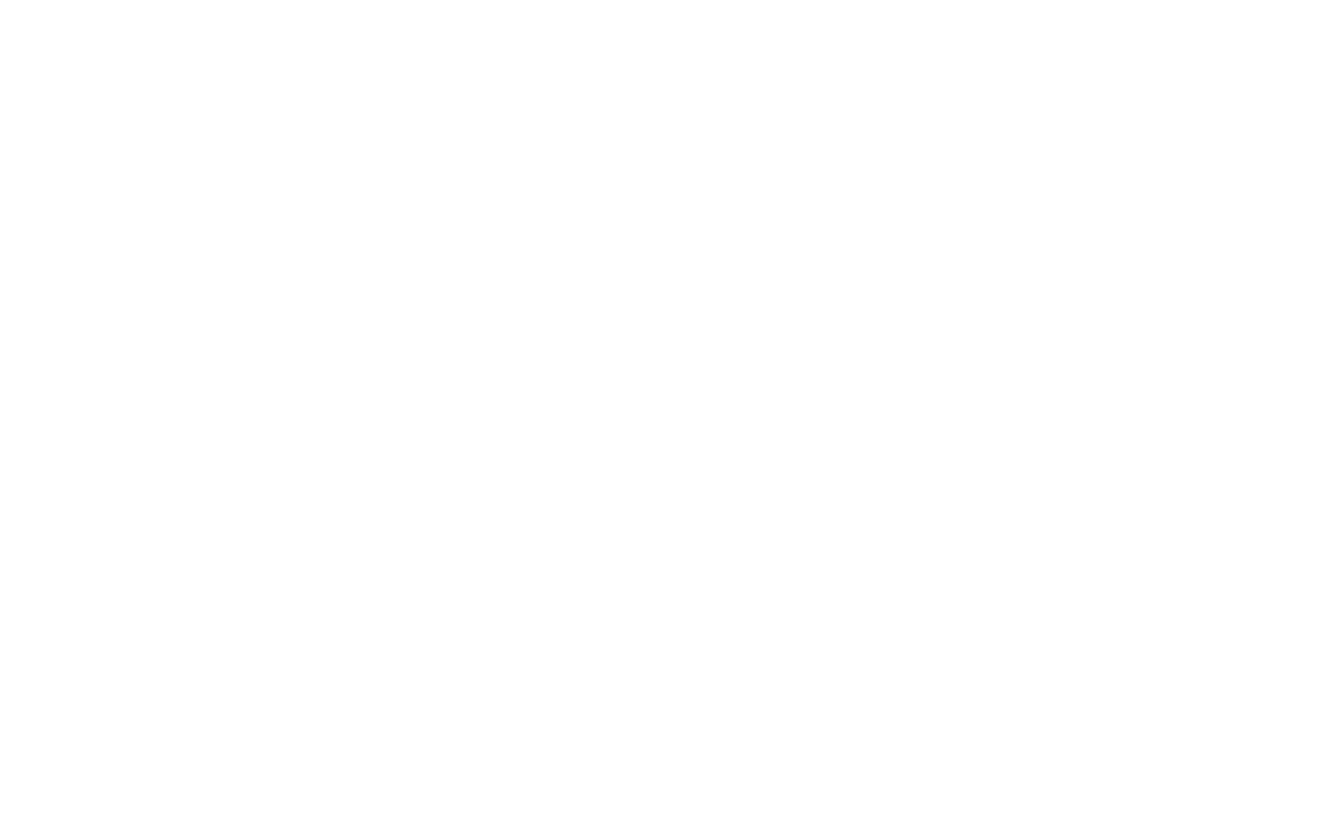 RALLY logo